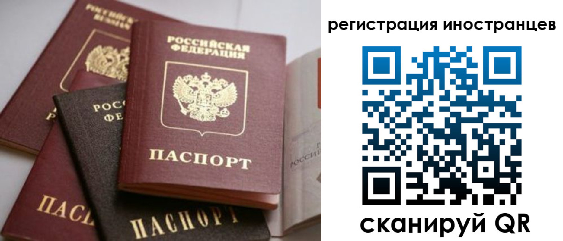 форма 3 в Лосино-Петровском